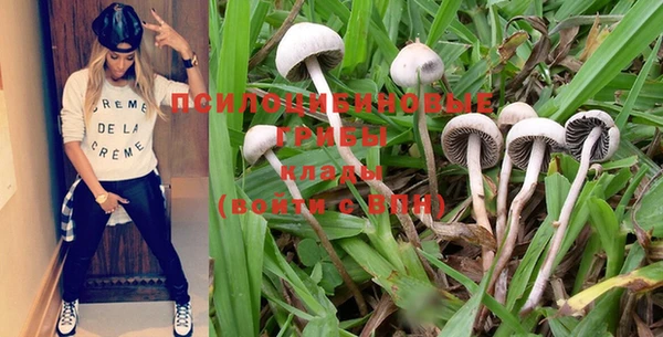 PSILOCYBIN Алексин