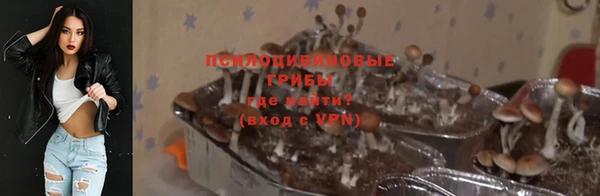 PSILOCYBIN Алексин